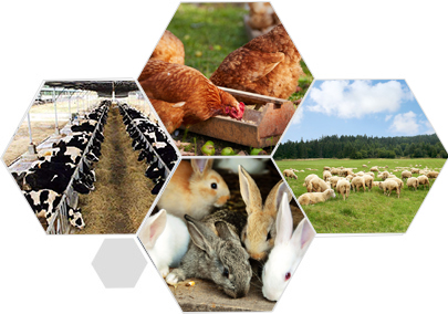 完善服務體系 合作無憂 完善服務體系 合作無憂